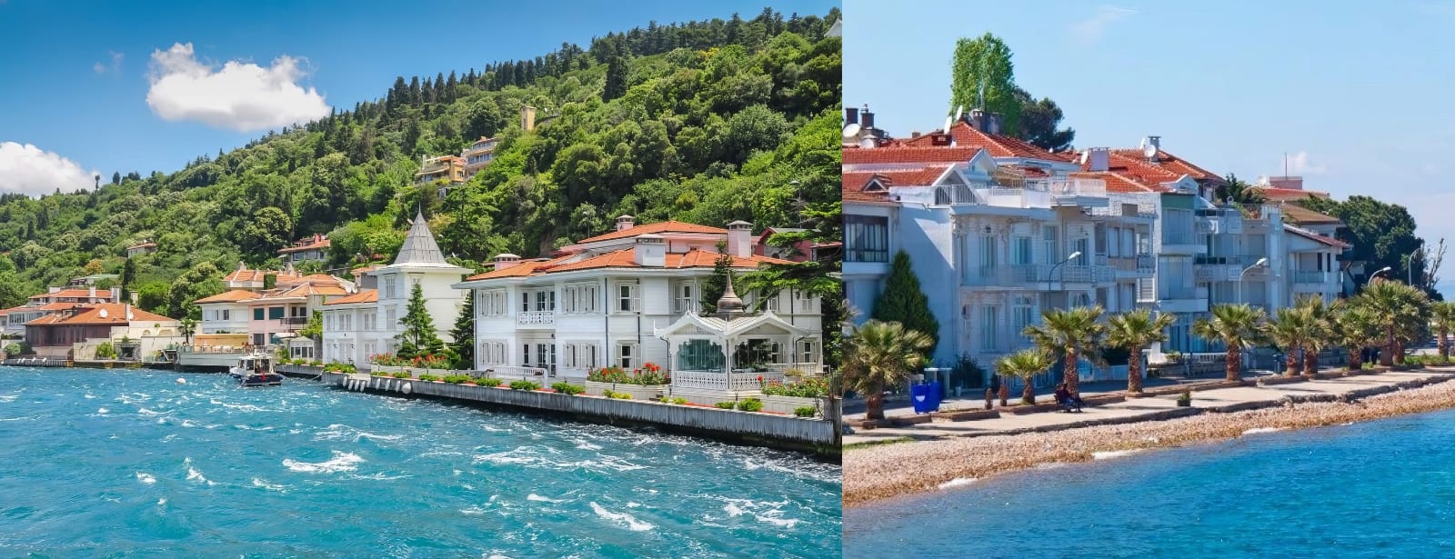 Princes' Islands Tour (2 Islands) Guide,Ticket & Lunch from Istanbul Recently Added Experiences at directholidaysme.com Princes' Islands Tour (2 Islands) Guide,Ticket & Lunch from Istanbul Recently Added Experiences at bahrainmegadeals.com