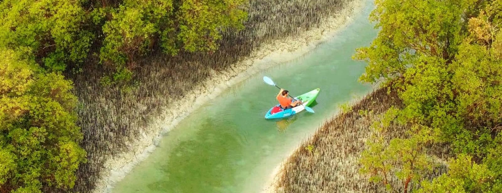 Guided Kayak Tour in the Reem Central Park Mangroves Water Sports at directholidaysme.com Guided Kayak Tour in the Reem Central Park Mangroves Water Sports at bahrainmegadeals.com