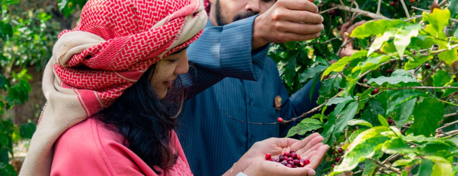 Hike with a local coffee farmer Recently Added Experiences at bahrainmegadeals.com