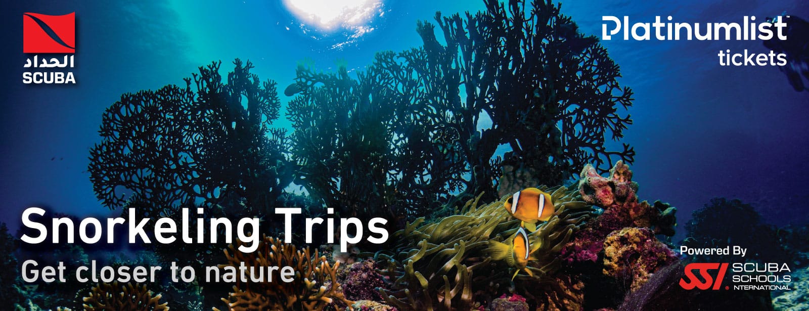 Snorkeling Daily Trips in Jeddah Attractions Special Offers at bahrainmegadeals.com