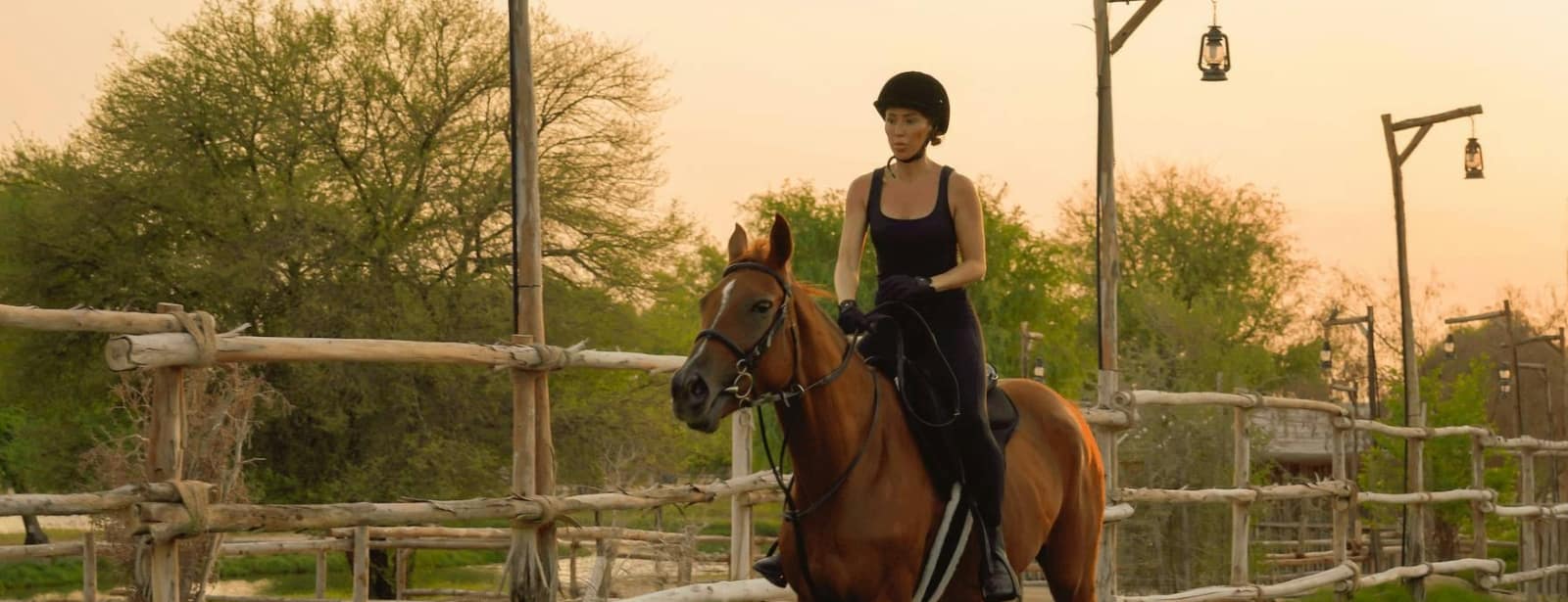 Horse Riding with Open Buffet Dinner & Shows Desert safaris at directholidaysme.com Horse Riding with Open Buffet Dinner & Shows Desert safaris at bahrainmegadeals.com