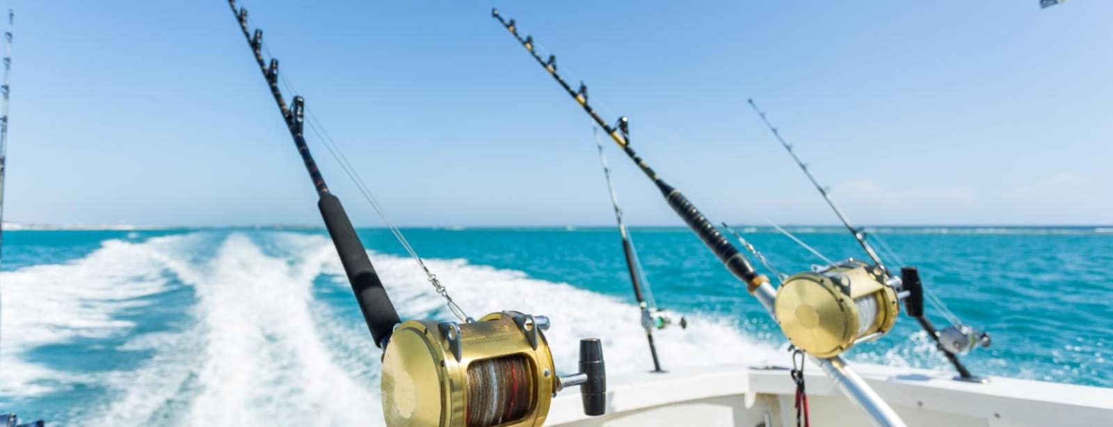 Trolling in Ocean for Big Fish Top-Rated Attractions at directholidaysme.com Trolling in Ocean for Big Fish Top-Rated Attractions at bahrainmegadeals.com