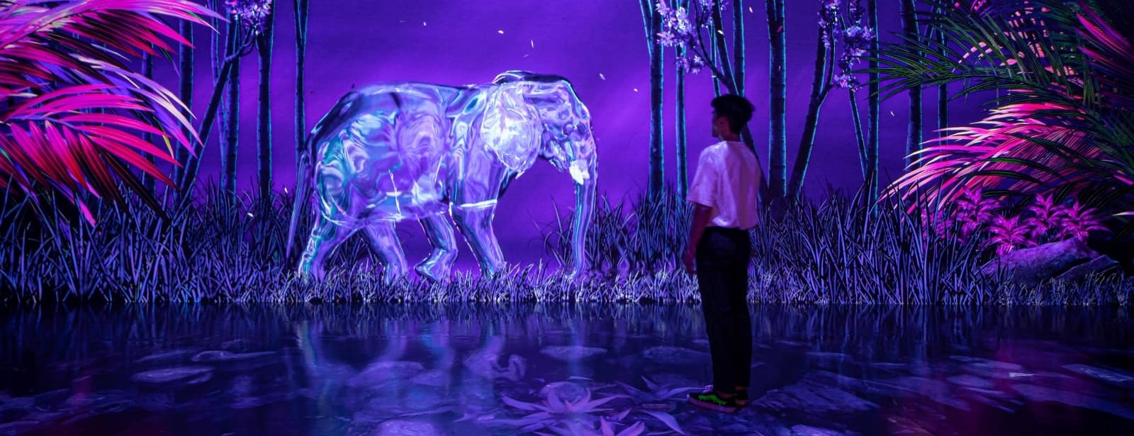 ARTE Museum + House Of Hype - Combo Combos and more adventures at directholidaysme.com ARTE Museum + House Of Hype - Combo Combos and more adventures at bahrainmegadeals.com