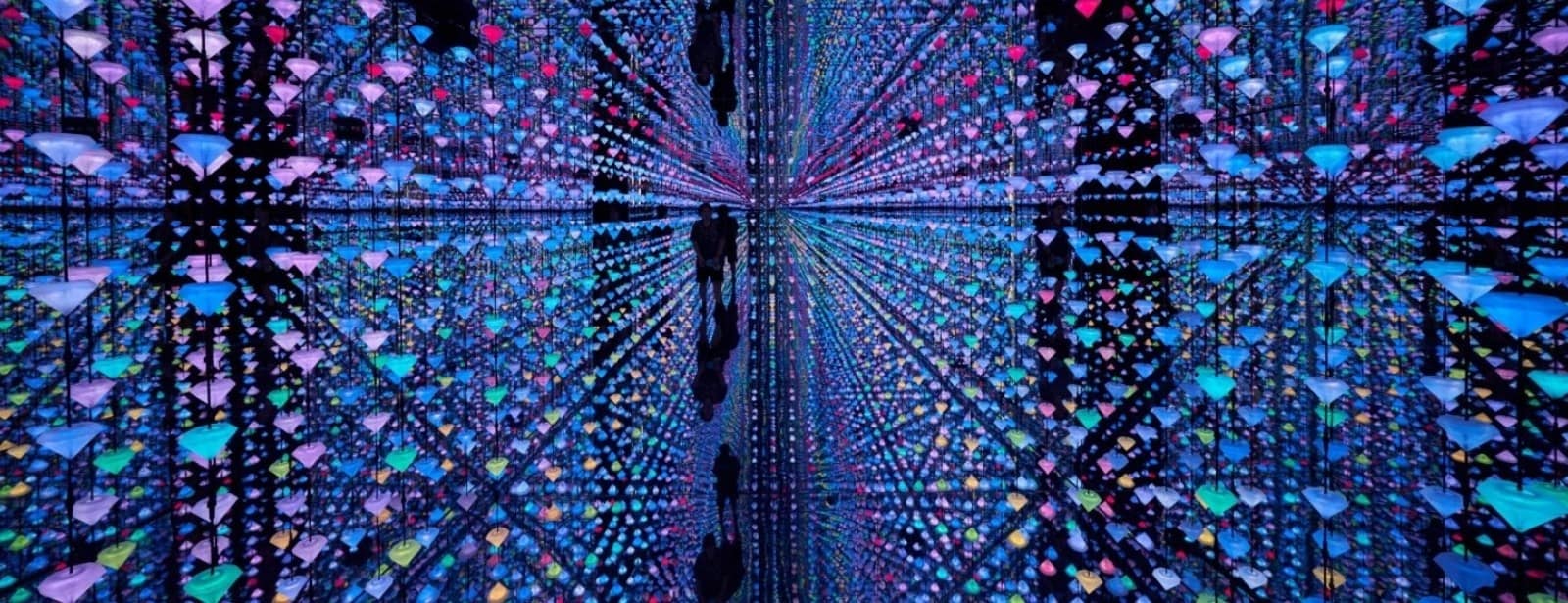 Moco Museum Amsterdam: Entry Ticket Museums at bahrainmegadeals.com