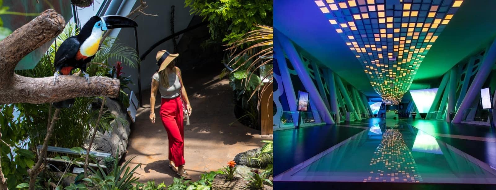 Dubai Frame + The Green Planet Dubai - Combo Must-see attractions at bahrainmegadeals.com