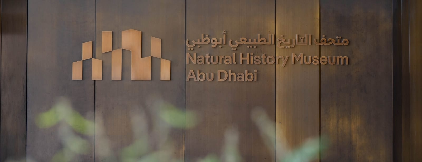 Natural History Museum Abu Dhabi (anyone under 18 years go free) Museums at directholidaysme.com Natural History Museum Abu Dhabi (anyone under 18 years go free) Museums at bahrainmegadeals.com