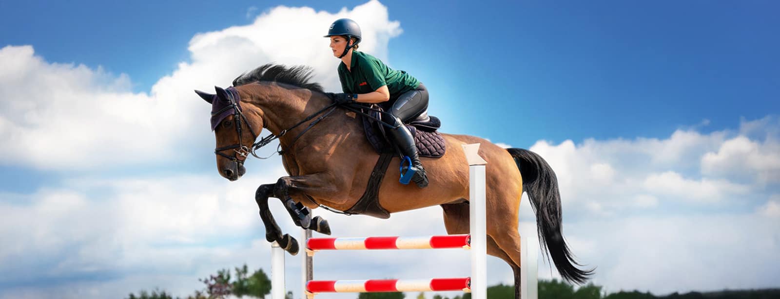 Equestrian Horse Ride at Al Forsan Recently Added Experiences at bahrainmegadeals.com