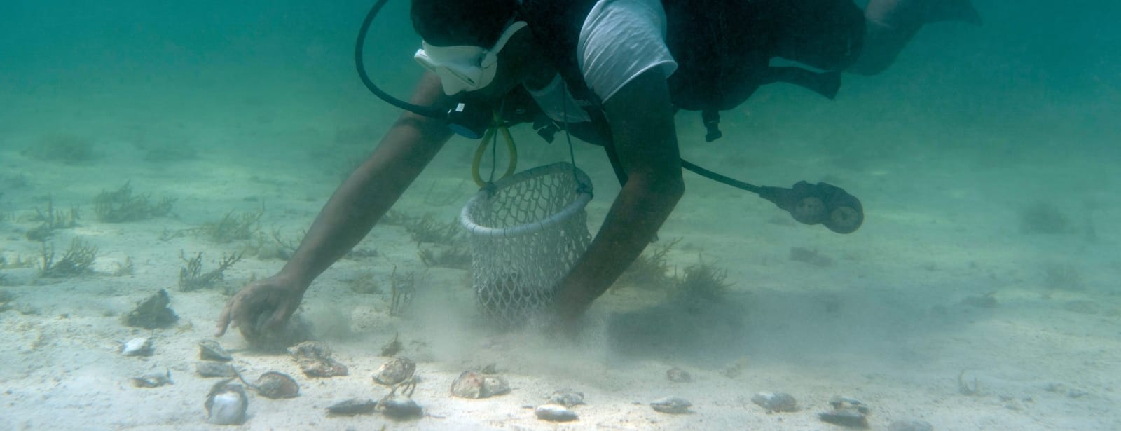 Pearl Diving Water Sports at bahrainmegadeals.com