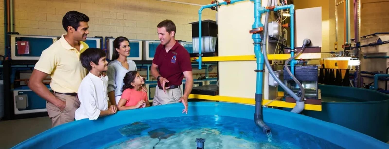 Lost World General Admission + Interactive Trident + Behind the scenes tour Top-Rated Attractions at bahrainmegadeals.com