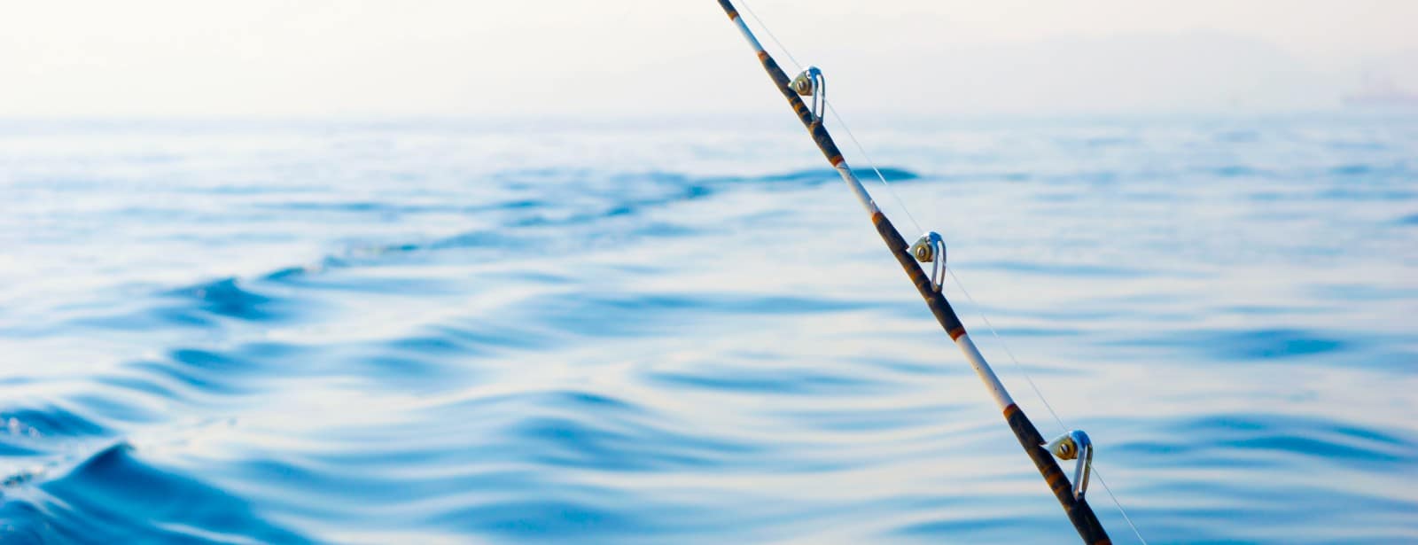 Private fishing boat tour Sightseeing and Tours at directholidaysme.com Private fishing boat tour Sightseeing and Tours at bahrainmegadeals.com