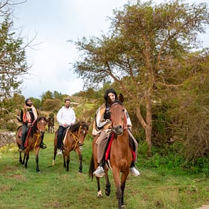 Advanced Horse Riding Experience - Sightseeing and Tours by Heefa National Park