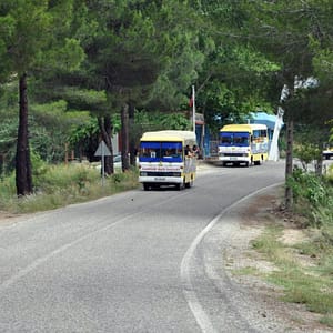 Cabrio Bus Safari - Recently Added Experiences by Side