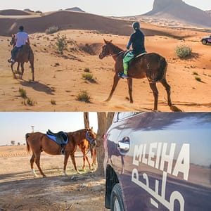 Horse Back Riding Desert Hack - Sports Events by Mleiha Archaeological Centre