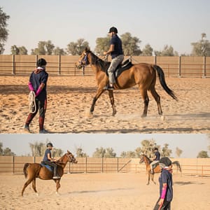 Horse Riding Training Course One Session - Sports Events by Mleiha Archaeological Centre