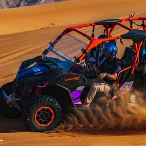 Mleiha Landscapes Tour in Dune Buggy - Top-Rated Attractions by Mleiha Archaeological Centre