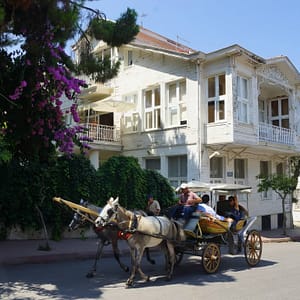 Princes' Island Tour from Istanbul - Recently Added Experiences by Istanbul