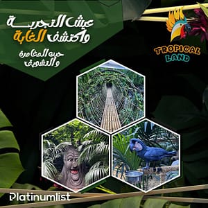 Tropical Land - Top-Rated Attractions by TROPICALLAND