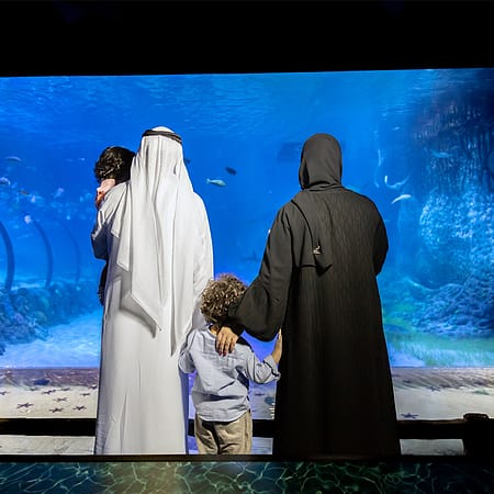 The National Aquarium Abu Dhabi - Experiences by The National Aquarium Abu Dhabi