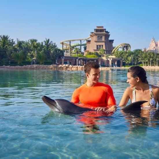 Atlas Village - Dolphin Experiences at Atlantis The Palm