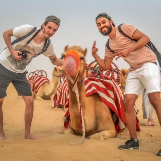 Morning Desert Safari: Camel Ride
