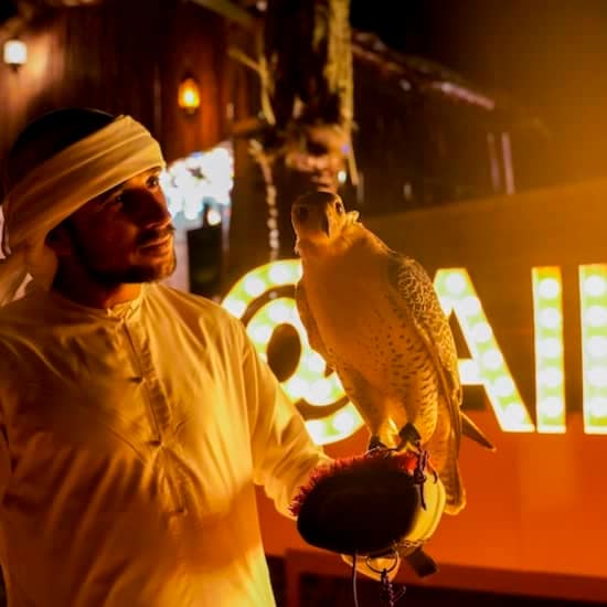 Premium Desert Safari: Camel Ride