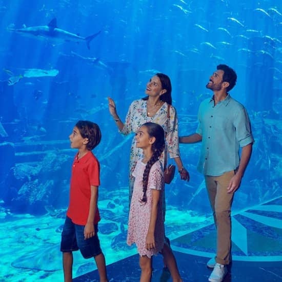 Dubai Atlantis: Aquaventure Waterpark + Shark Safari or Snorkel Experience at Aquaventure Waterpark, Dubai, United Arab Emirates