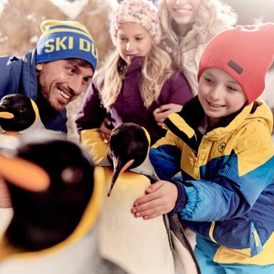 Ski Dubai: Ski Slope - 2 hour or full day access at Ski Dubai, Dubai, United Arab Emirates