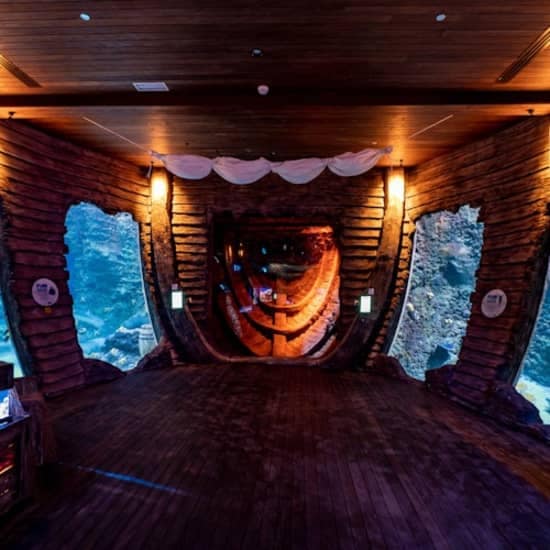 Combo: The National Aquarium Abu Dhabi & The Pixoul Gaming. at The National Aquarium Abu Dhabi, Abu Dhabi, United Arab Emirates