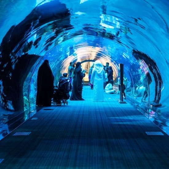 Dubai Aquarium & Underwater Zoo: All-Access Pass at Dubai Aquarium & Underwater Zoo