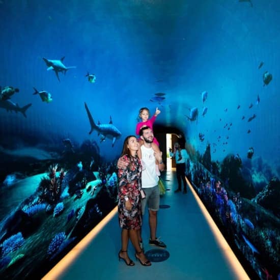 The View at The Palm: The View (Level 52) at The View at the Palm