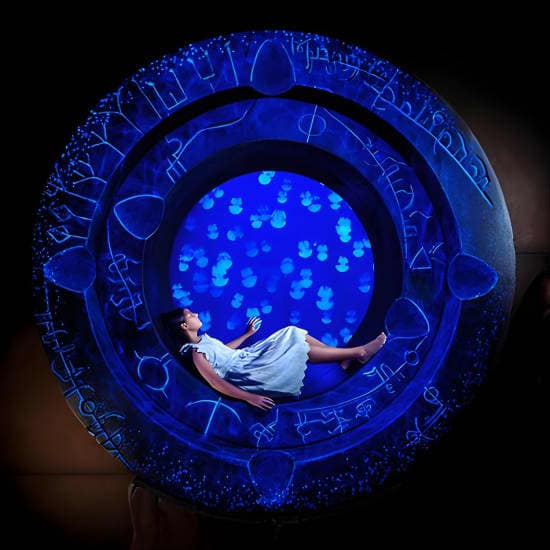 Skip the Line: Lost Chambers Entry at Atlantis The Palm Ticket at The Lost Chambers Aquarium, Dubai, United Arab Emirates Skip the Line: Lost Chambers Entry at Atlantis The Palm Ticket at The Lost Chambers Aquarium, Dubai, United Arab Emirates