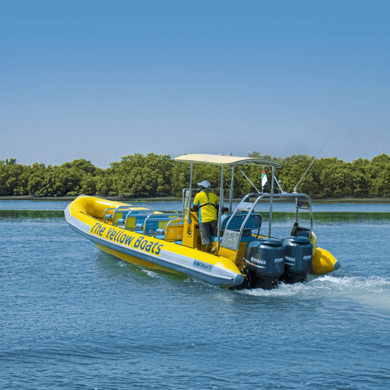 45-minute Yas Experience Abu Dhabi Sightseeing Boat Tour - Boat Tours and Cruises by Yellow Boats Yas Island