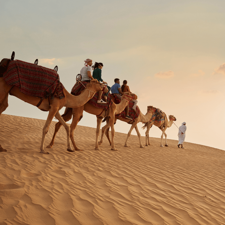 Dubai Sunset Safari Delight with BBQ dinner and camel ride - Desert safaris by Dubai