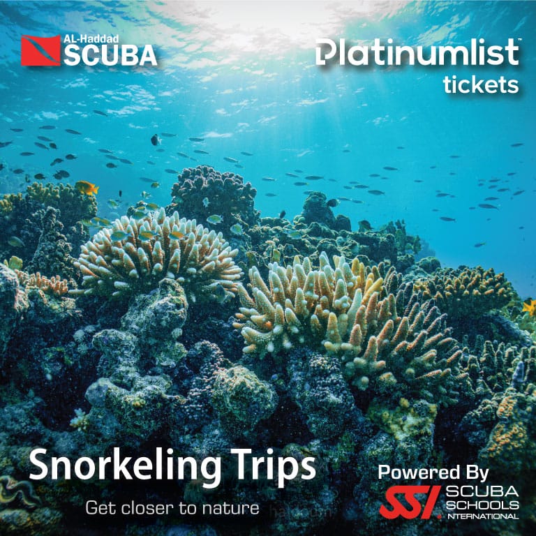 Snorkeling Daily Trips in Jeddah - Attractions Special Offers by Al-Haddad Scuba