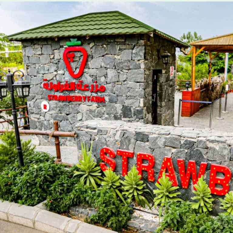 Strawberry Farm - Top-Rated Attractions by Strawberry Farm