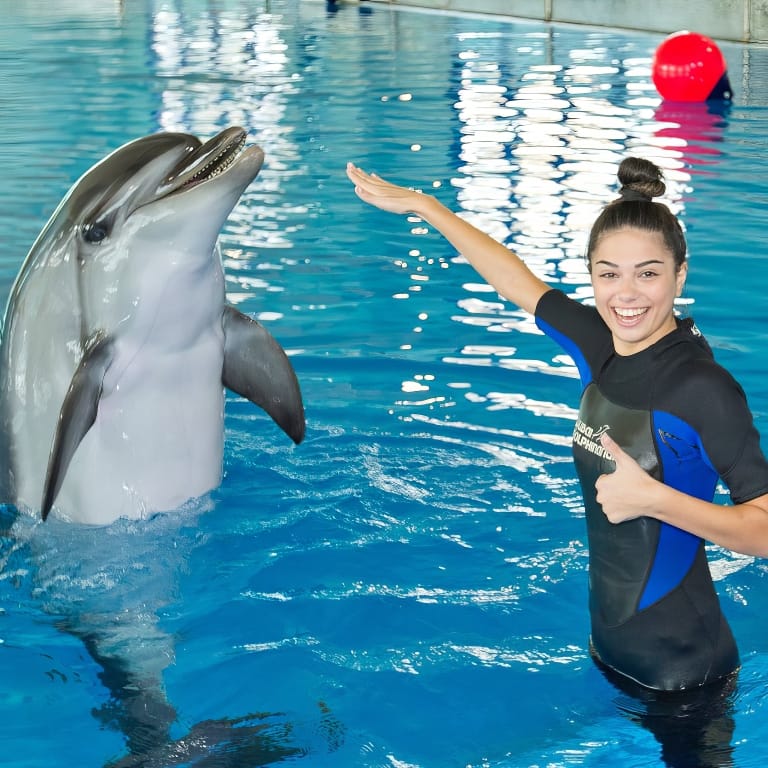 Swimming With Dolphins - Dubai Dolphinarium - Dubai Dolphinarium by Dubai Dolphinarium