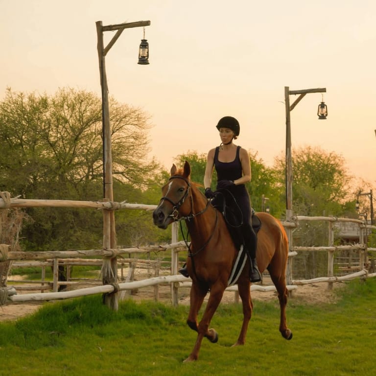 Horse Riding with Open Buffet Dinner & Shows - Desert safaris by Al Marmoom Desert Conservation Reserve