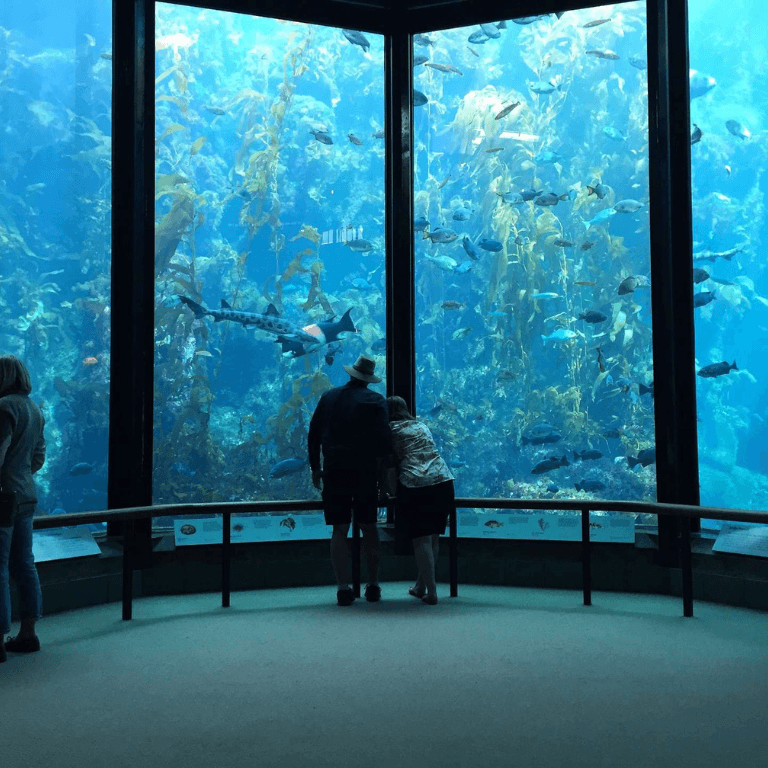 Oman Aquarium - Experiences by Oman Aquarium - Mall of Muscat