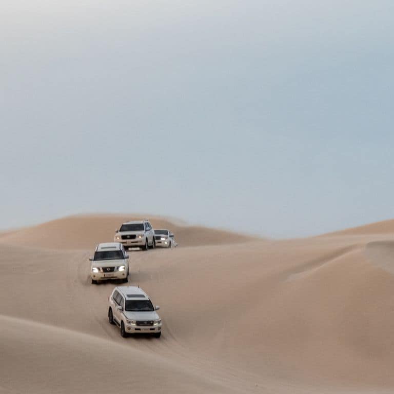 Quickie to the Desert Sightseeing and Tours