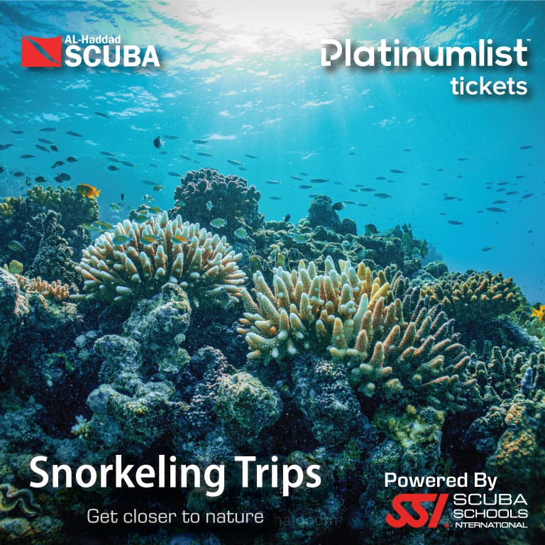 Snorkeling Daily Trips in Jeddah Attractions Special Offers