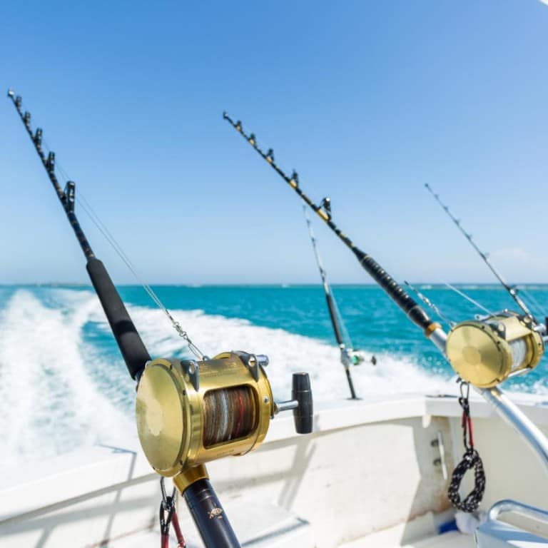 Trolling in Ocean for Big Fish Top-Rated Attractions