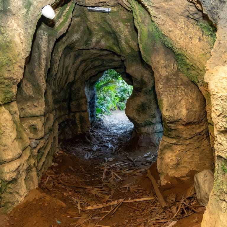 Tropical Land Top-Rated Attractions