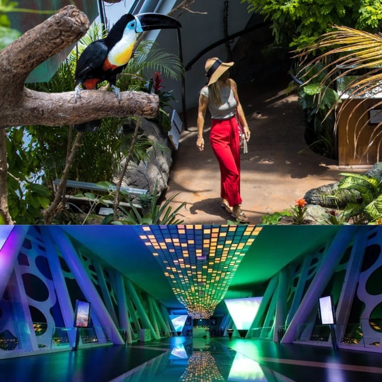 Dubai Frame + The Green Planet Dubai - Combo Must-see attractions