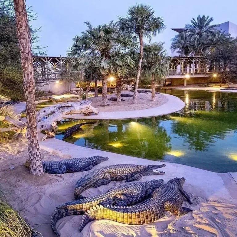 Dubai Safari Park + Dubai Crocodile Park - Combo Must-see attractions