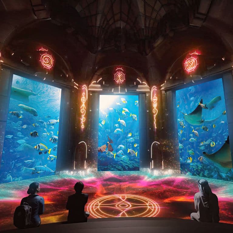 Lost World Aquarium - As known as Lost Chambers Aquarium Experiences