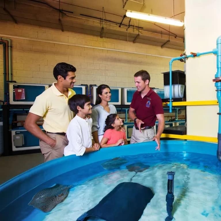 Lost World General Admission + Interactive Trident + Behind the scenes tour Top-Rated Attractions