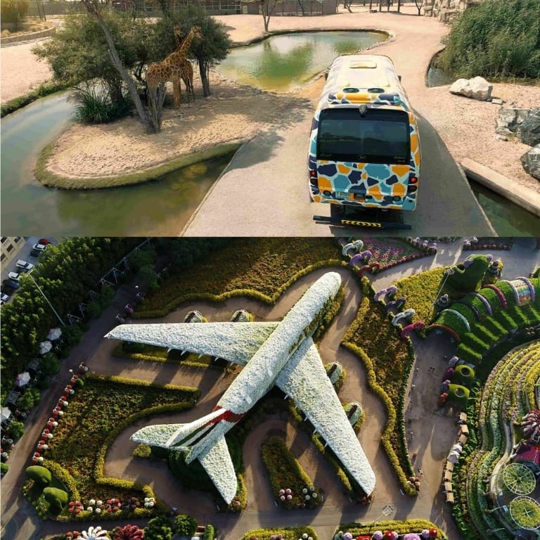Miracle Garden + Dubai Safari Park - Combo Must-see attractions