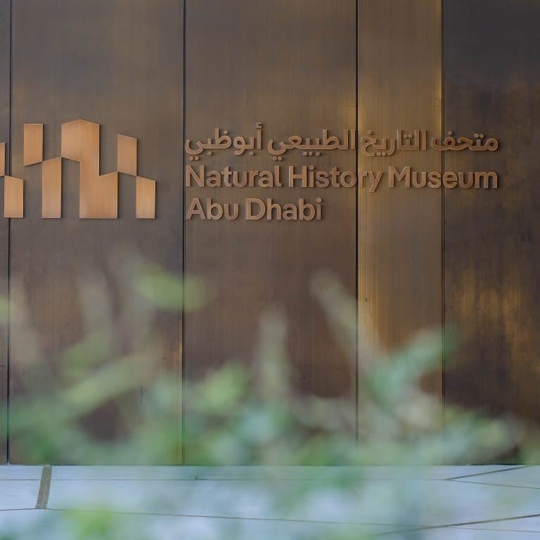 Natural History Museum Abu Dhabi (anyone under 18 years go free) Museums