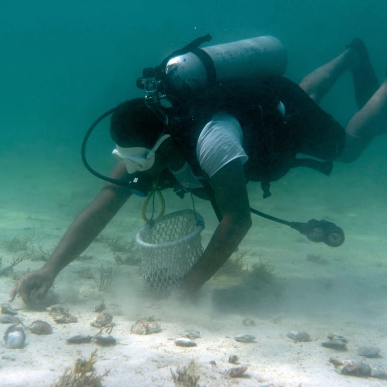 Pearl Diving Water Sports