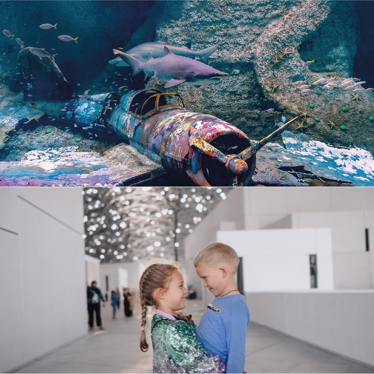 The National Aquarium + Louvre Abu Dhabi - Combo Combos and more adventures